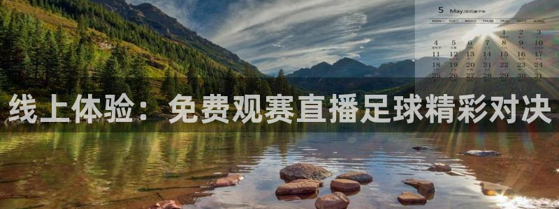 线上体验：免费观赛直播足球精彩对决